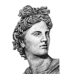 Meet your Posher, Conor